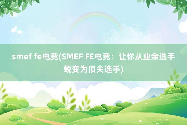 smef fe电竞(SMEF FE电竞：让你从业余选手蜕变为顶尖选手)