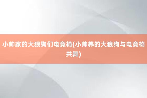 小帅家的大狼狗们电竞椅(小帅养的大狼狗与电竞椅共舞)