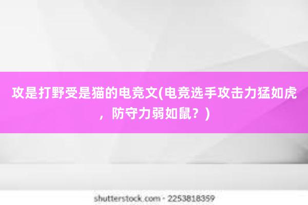 攻是打野受是猫的电竞文(电竞选手攻击力猛如虎，防守力弱如鼠？)