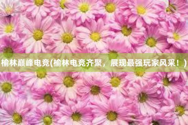 榆林巅峰电竞(榆林电竞齐聚，展现最强玩家风采！)