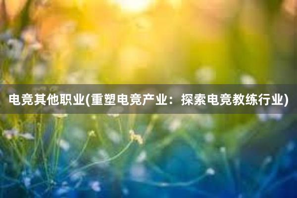 电竞其他职业(重塑电竞产业：探索电竞教练行业)