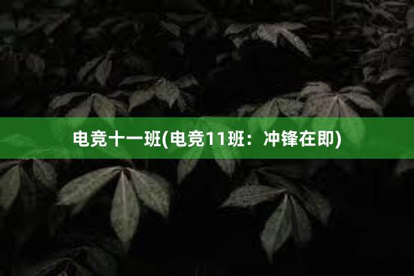 电竞十一班(电竞11班：冲锋在即)