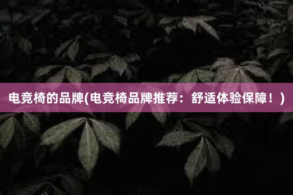 电竞椅的品牌(电竞椅品牌推荐：舒适体验保障！)