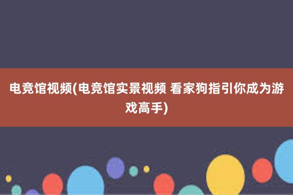 电竞馆视频(电竞馆实景视频 看家狗指引你成为游戏高手)