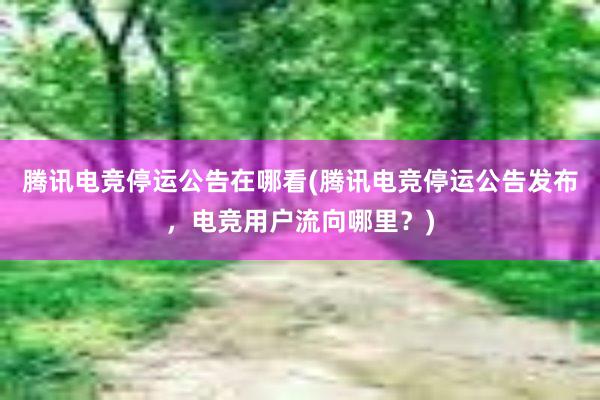 腾讯电竞停运公告在哪看(腾讯电竞停运公告发布，电竞用户流向哪里？)