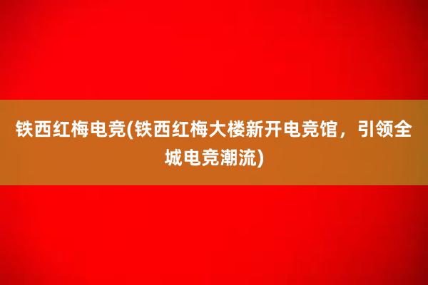 铁西红梅电竞(铁西红梅大楼新开电竞馆，引领全城电竞潮流)