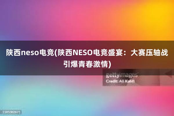 陕西neso电竞(陕西NESO电竞盛宴：大赛压轴战引爆青春激情)