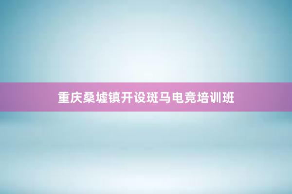 重庆桑墟镇开设斑马电竞培训班