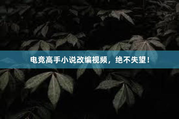 电竞高手小说改编视频，绝不失望！