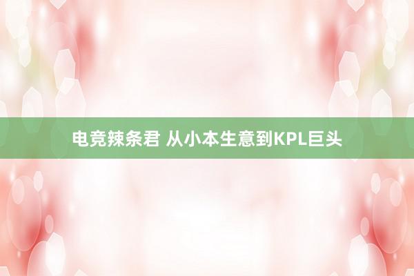 电竞辣条君 从小本生意到KPL巨头